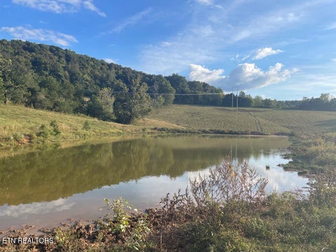 Tiny photo for 1380 Conrad Templeton Rd, Quebeck, TN 38579 (MLS # 1357641)