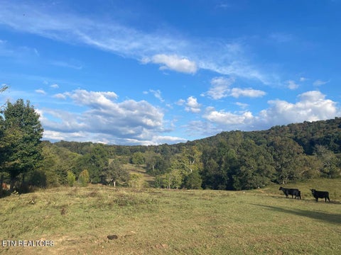 Tiny photo for 1380 Conrad Templeton Rd, Quebeck, TN 38579 (MLS # 1357641)