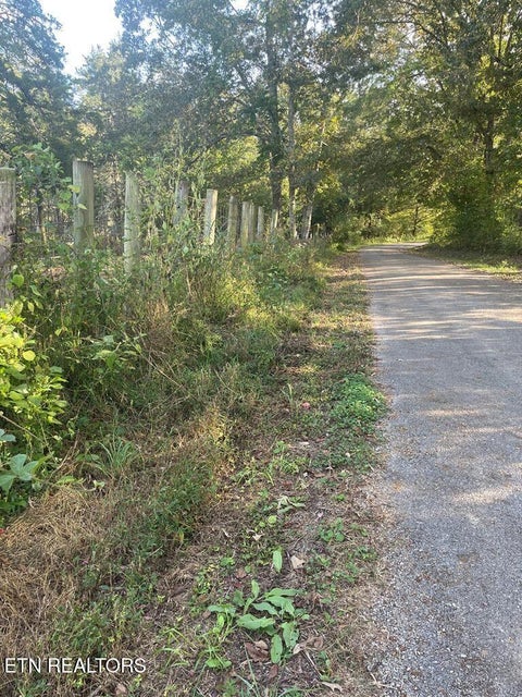Tiny photo for 1380 Conrad Templeton Rd, Quebeck, TN 38579 (MLS # 1357641)