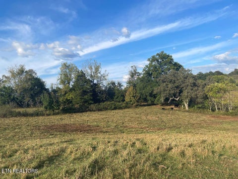 Tiny photo for 1380 Conrad Templeton Rd, Quebeck, TN 38579 (MLS # 1357641)