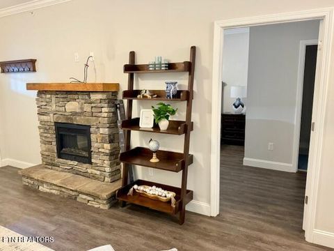 Tiny photo for 235 Bishops Cap Circle #103, Townsend, TN 37882 (MLS # 1287174)