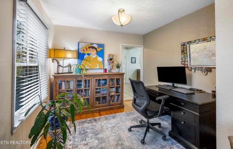 Tiny photo for 3352 NE Kenilworth Lane, Knoxville, TN 37917 (MLS # 1332775)