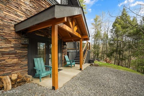 Tiny photo for 2619 Bear Crossing Way, Sevierville, TN 37862 (MLS # 1333838)