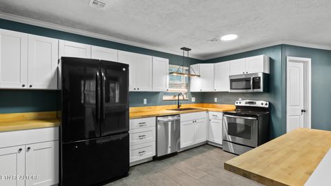 Tiny photo for 6005 Shady Grove Rd, Morristown, TN 37814 (MLS # 1317725)