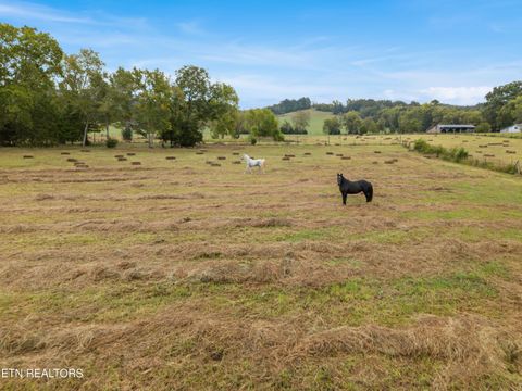 Tiny photo for 6978 Old Dixie Hwy, Spring City, TN 37381 (MLS # 1316211)