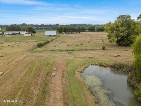 Tiny photo for 6978 Old Dixie Hwy, Spring City, TN 37381 (MLS # 1316211)