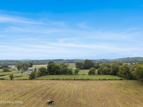 Tiny photo for 6978 Old Dixie Hwy, Spring City, TN 37381 (MLS # 1316211)
