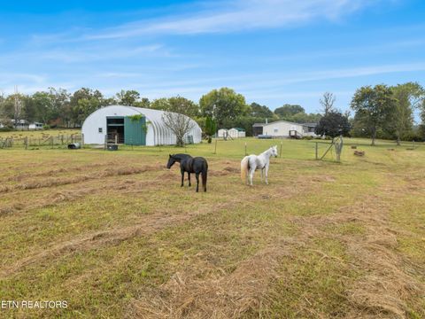 Tiny photo for 6978 Old Dixie Hwy, Spring City, TN 37381 (MLS # 1316211)