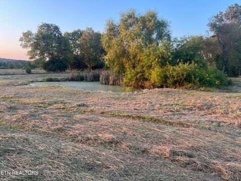 Tiny photo for 6978 Old Dixie Hwy, Spring City, TN 37381 (MLS # 1316211)