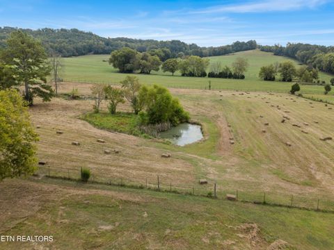 Tiny photo for 6978 Old Dixie Hwy, Spring City, TN 37381 (MLS # 1316211)