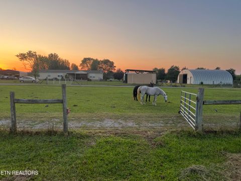 Tiny photo for 6978 Old Dixie Hwy, Spring City, TN 37381 (MLS # 1316211)