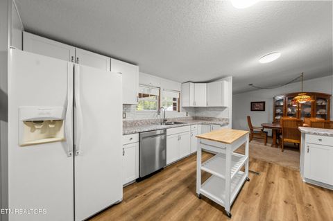 Tiny photo for 6978 Old Dixie Hwy, Spring City, TN 37381 (MLS # 1316211)