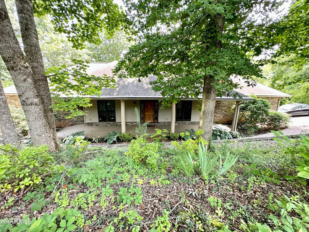 Photo of 236 E Leatherwood Drive, Walland, TN 37886 (MLS # 1232582)