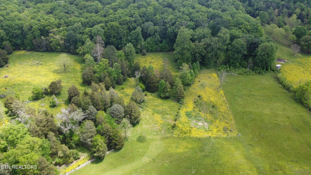 Photo of 320 E Raccoon Valley Drive, Heiskell, TN 37754 (MLS # 1301158)