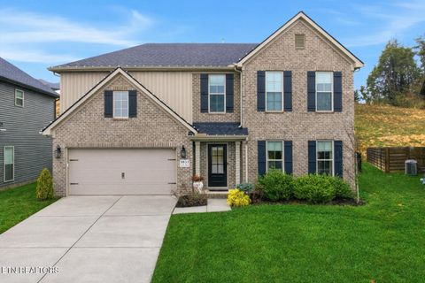 Photo of 8853 Yellow Aster Rd, Knoxville, TN 37931 (MLS # 1326116)