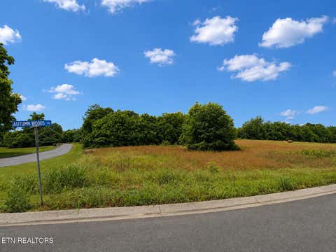 Tiny photo for Lot 20 Autumn Woods Tr, Sweetwater, TN 37874 (MLS # 1342856)