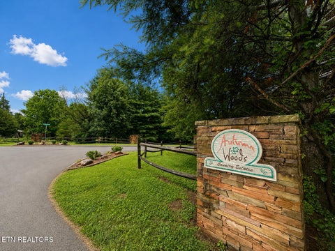 Tiny photo for Lot 20 Autumn Woods Tr, Sweetwater, TN 37874 (MLS # 1342856)