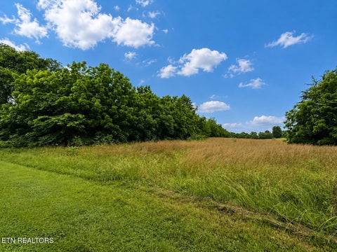 Tiny photo for Lot 20 Autumn Woods Tr, Sweetwater, TN 37874 (MLS # 1342856)