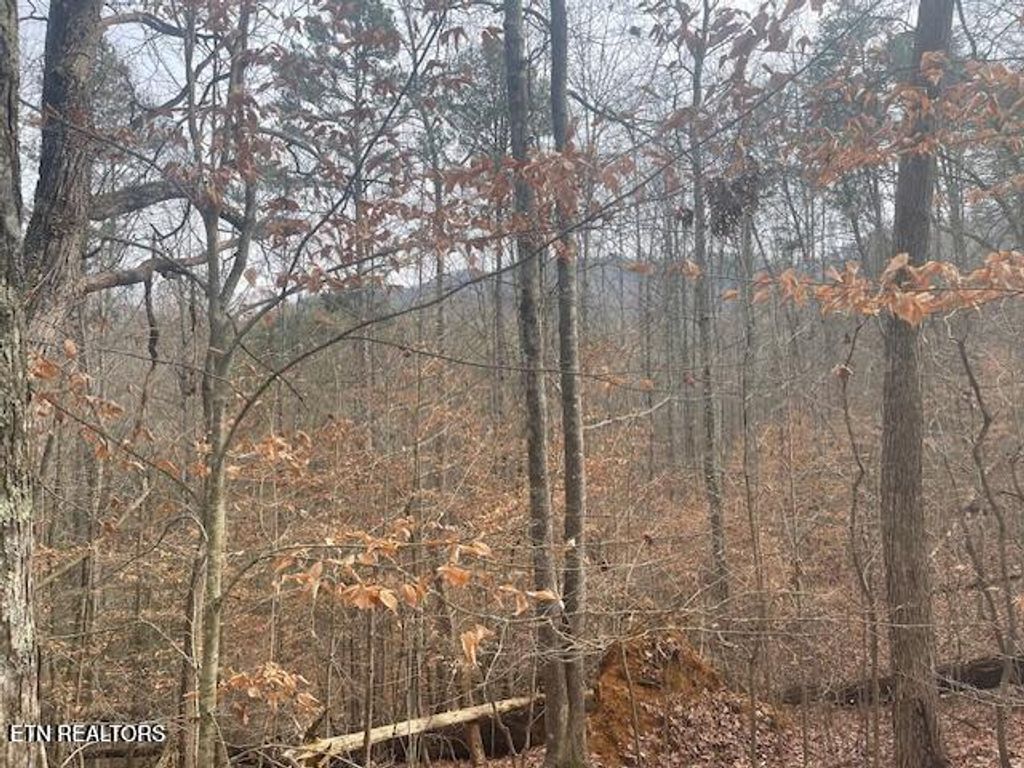 Photo of 1008 Blair Loop Rd, Walland, TN 37886 (MLS # 1332181)