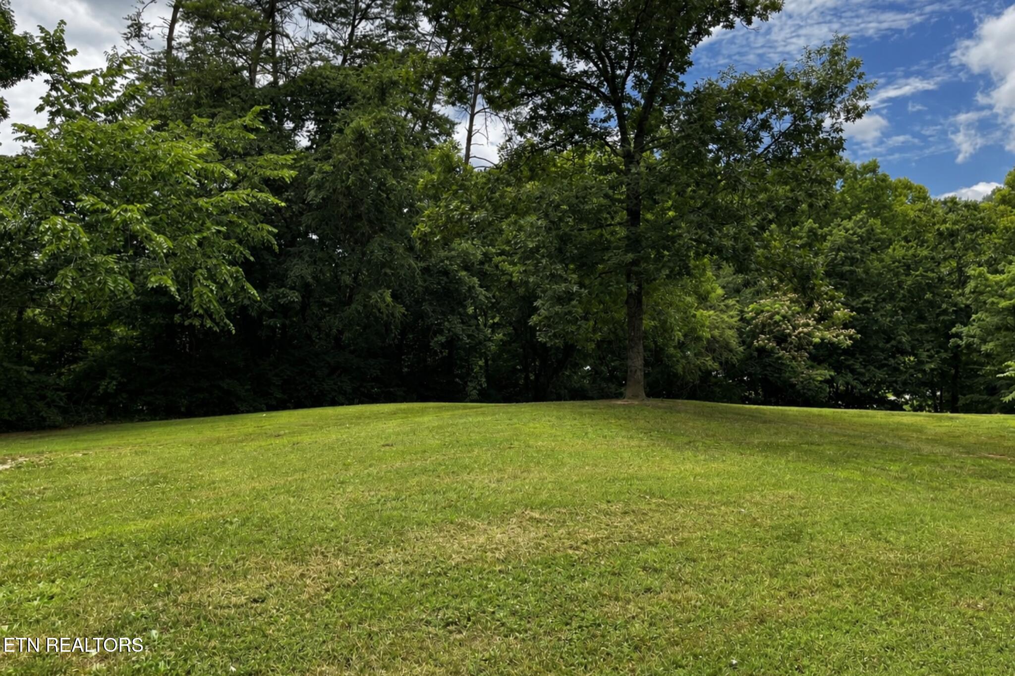 206 E Brushy Valley Drive