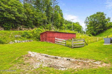Tiny photo for 123 Sweat Lane, LaFollette, TN 37766 (MLS # 1343294)