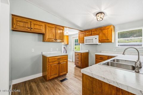Tiny photo for 123 Sweat Lane, LaFollette, TN 37766 (MLS # 1343294)