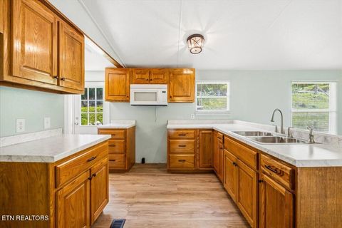 Tiny photo for 123 Sweat Lane, LaFollette, TN 37766 (MLS # 1343294)