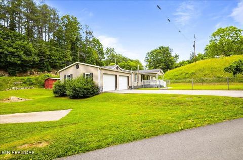 Tiny photo for 123 Sweat Lane, LaFollette, TN 37766 (MLS # 1343294)