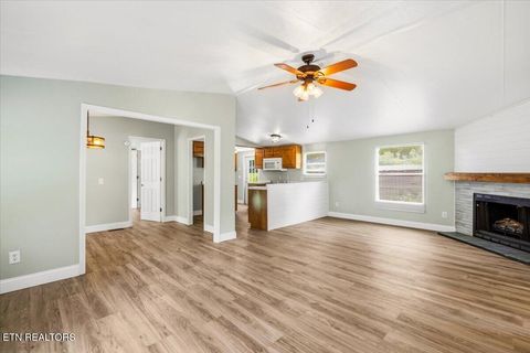Tiny photo for 123 Sweat Lane, LaFollette, TN 37766 (MLS # 1343294)