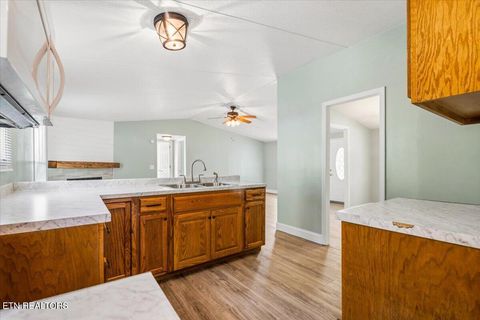 Tiny photo for 123 Sweat Lane, LaFollette, TN 37766 (MLS # 1343294)