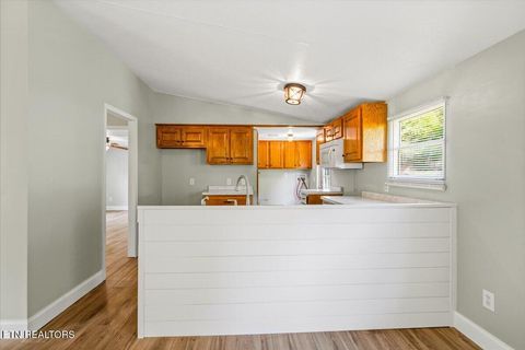 Tiny photo for 123 Sweat Lane, LaFollette, TN 37766 (MLS # 1343294)