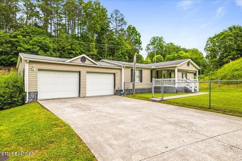 Tiny photo for 123 Sweat Lane, LaFollette, TN 37766 (MLS # 1343294)