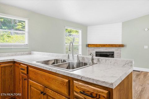 Tiny photo for 123 Sweat Lane, LaFollette, TN 37766 (MLS # 1343294)