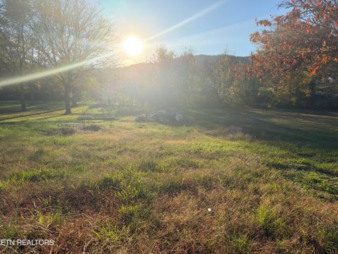 Tiny photo for 200 McCarroll Lane, Harriman, TN 37748 (MLS # 1322721)