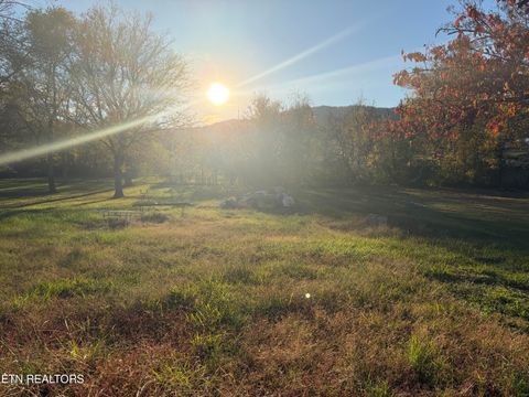 Tiny photo for 200 McCarroll Lane, Harriman, TN 37748 (MLS # 1322721)