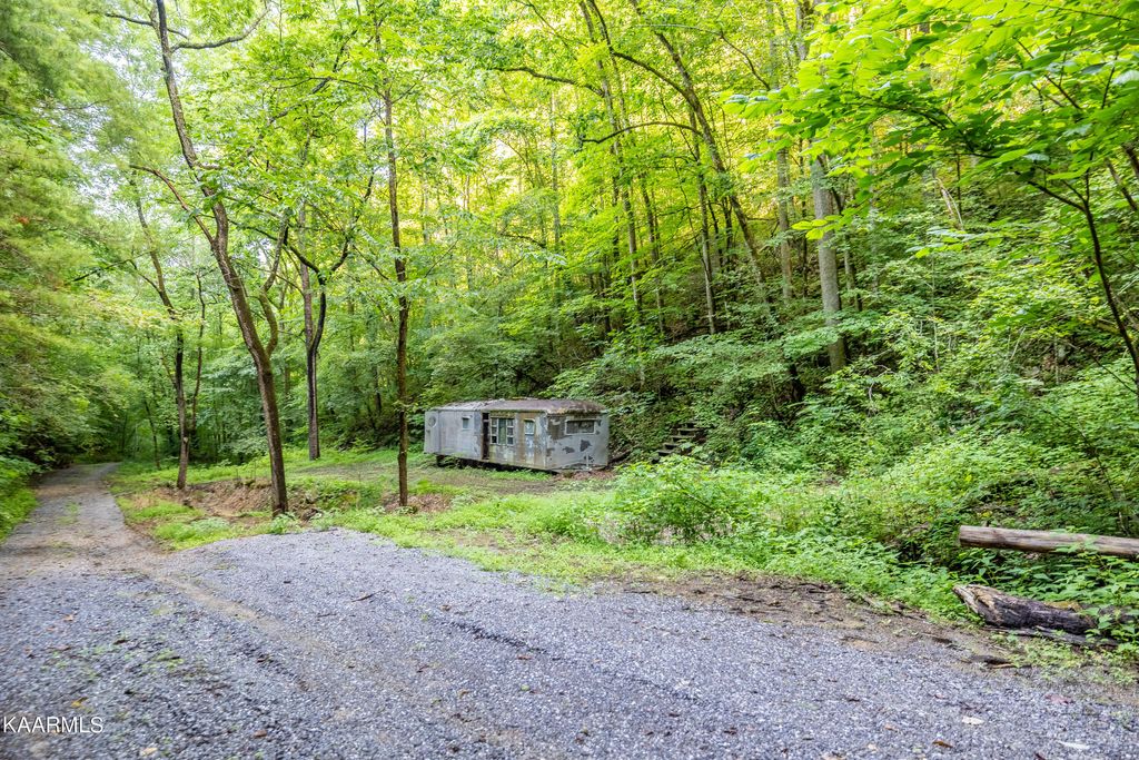 Photo of Black Mash Hollow Rd, Townsend, TN 37882 (MLS # 1231869)