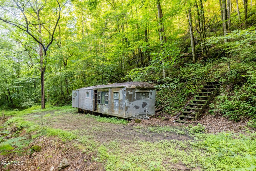 Photo of Black Mash Hollow Rd, Townsend, TN 37882 (MLS # 1231869)