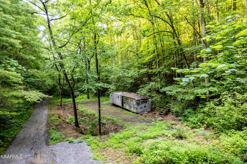 Photo of Black Mash Hollow Rd, Townsend, TN 37882 (MLS # 1231869)