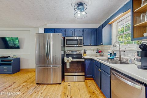 Tiny photo for 1949 Shady Grove Rd, Sevierville, TN 37876 (MLS # 1329992)