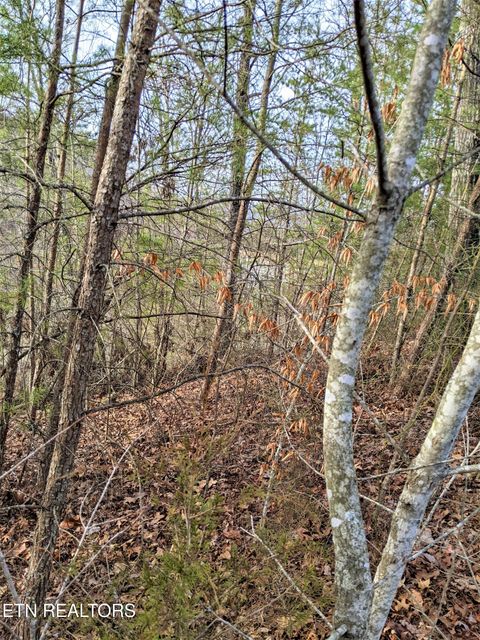 Photo of 62206224 Outlook Tr, Russellville, TN 37860 (MLS # 1342069)