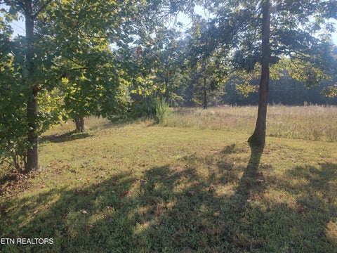 Tiny photo for 106 Swafford Rd, Spring City, TN 37381 (MLS # 1356154)