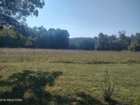 Tiny photo for 106 Swafford Rd, Spring City, TN 37381 (MLS # 1356154)