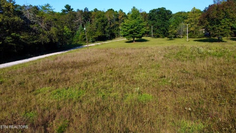 Tiny photo for 106 Swafford Rd, Spring City, TN 37381 (MLS # 1356154)
