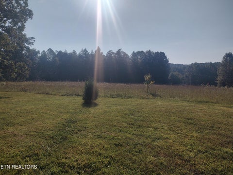 Tiny photo for 106 Swafford Rd, Spring City, TN 37381 (MLS # 1356154)