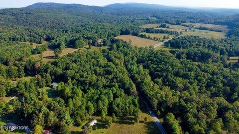 Photo of 106 Swafford Rd, Spring City, TN 37381 (MLS # 1356154)