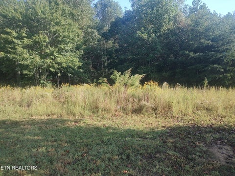 Tiny photo for 106 Swafford Rd, Spring City, TN 37381 (MLS # 1356154)