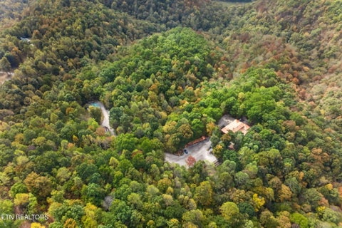 Tiny photo for 770 Hickory Lane, Hilham, TN 38568 (MLS # 1360315)