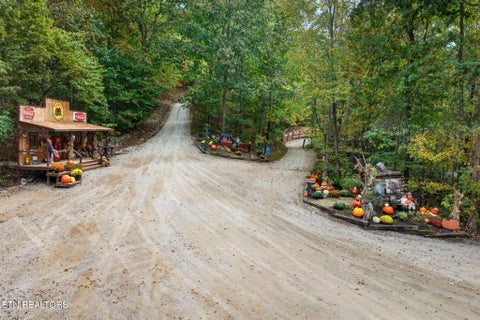 Tiny photo for 770 Hickory Lane, Hilham, TN 38568 (MLS # 1360315)