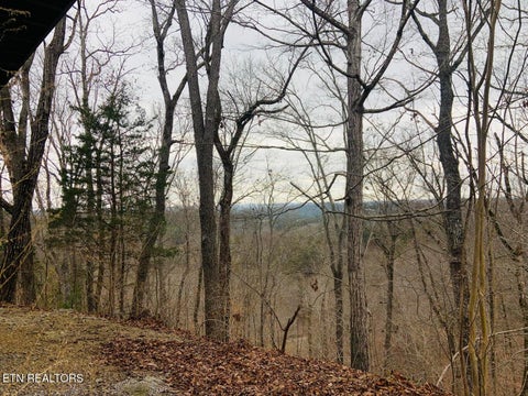 Tiny photo for 1581 Romary Rd, Dandridge, TN 37725 (MLS # 1342820)