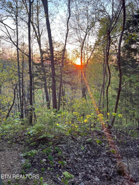 Tiny photo for 1581 Romary Rd, Dandridge, TN 37725 (MLS # 1342820)